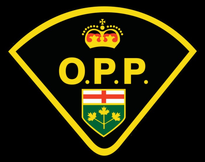 OPP warns public of currency scams