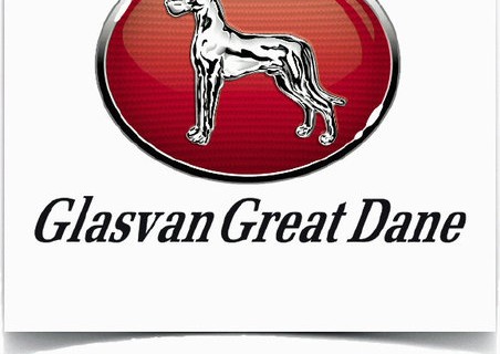Glasvan Recognized as International Dealer of the Year