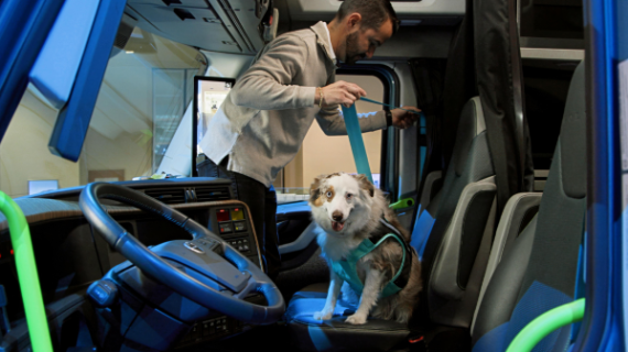 Volvo Trucks issues pet safety guide for 800,000 truck-cab companions